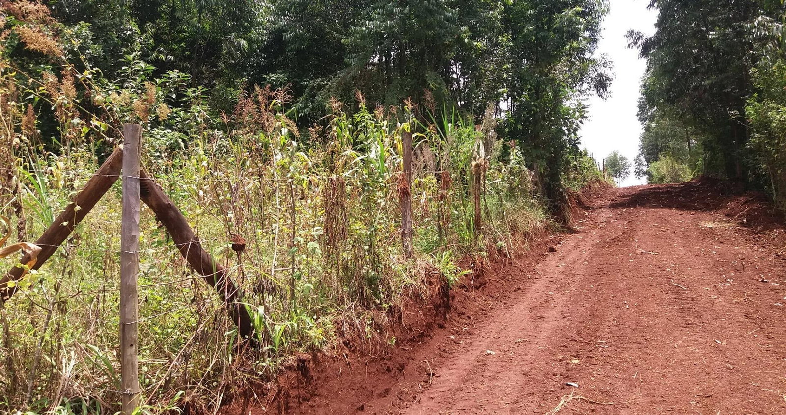 Half Acre Garden Plot with Parking - Kiambu
