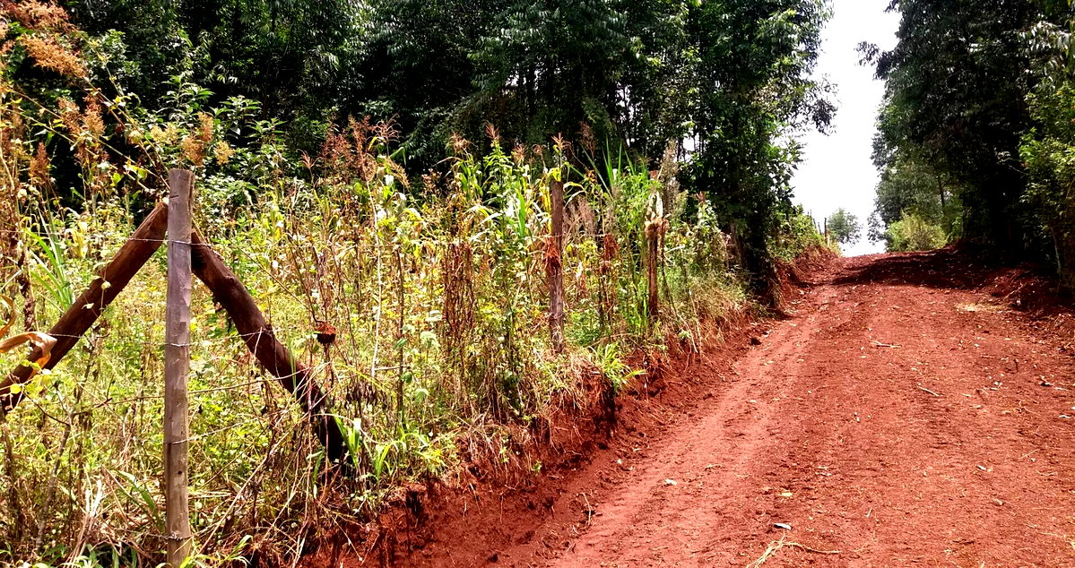 Half Acre Garden Plot with Parking - Kiambu