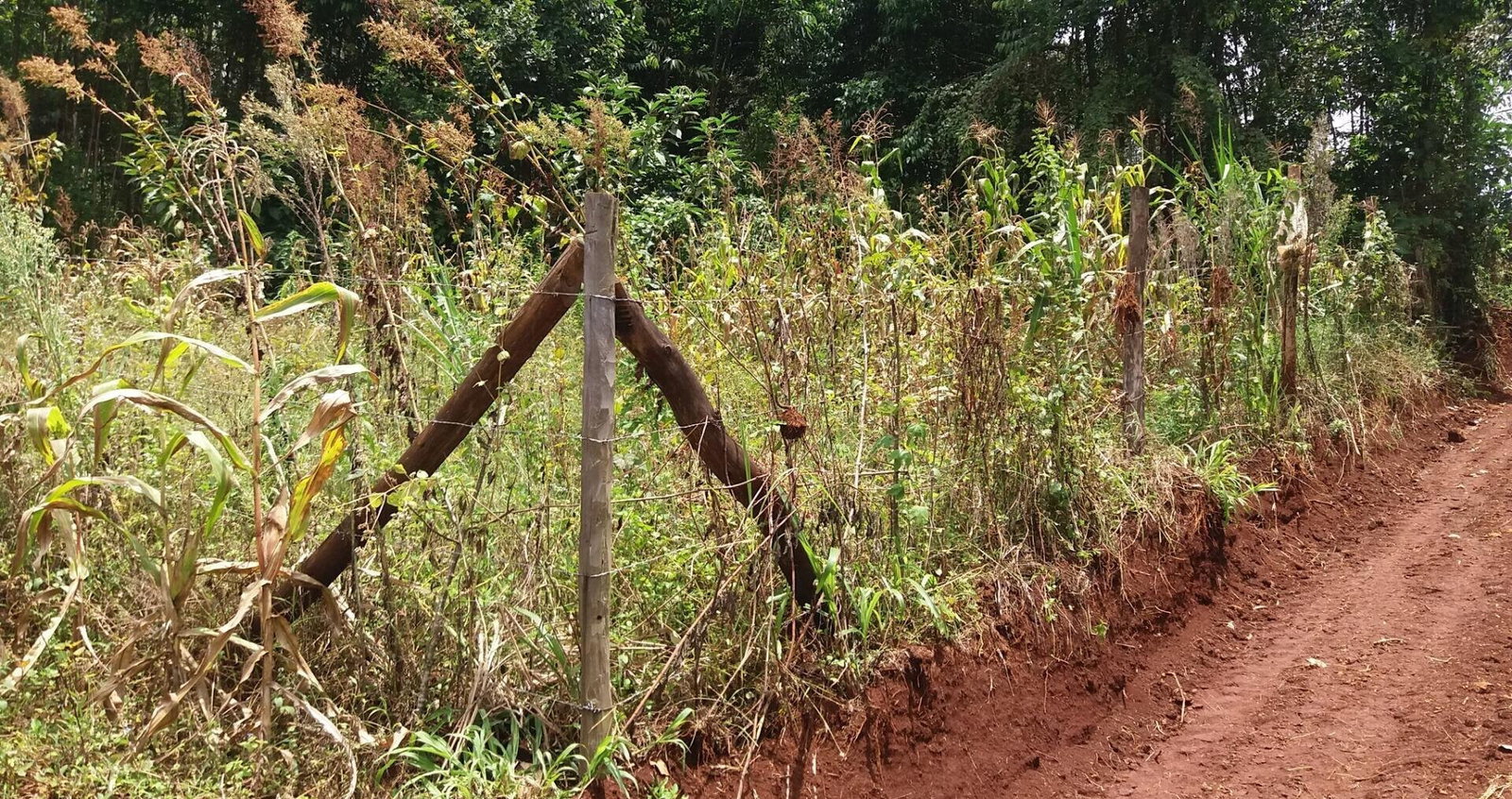Half Acre Garden Plot with Parking - Kiambu