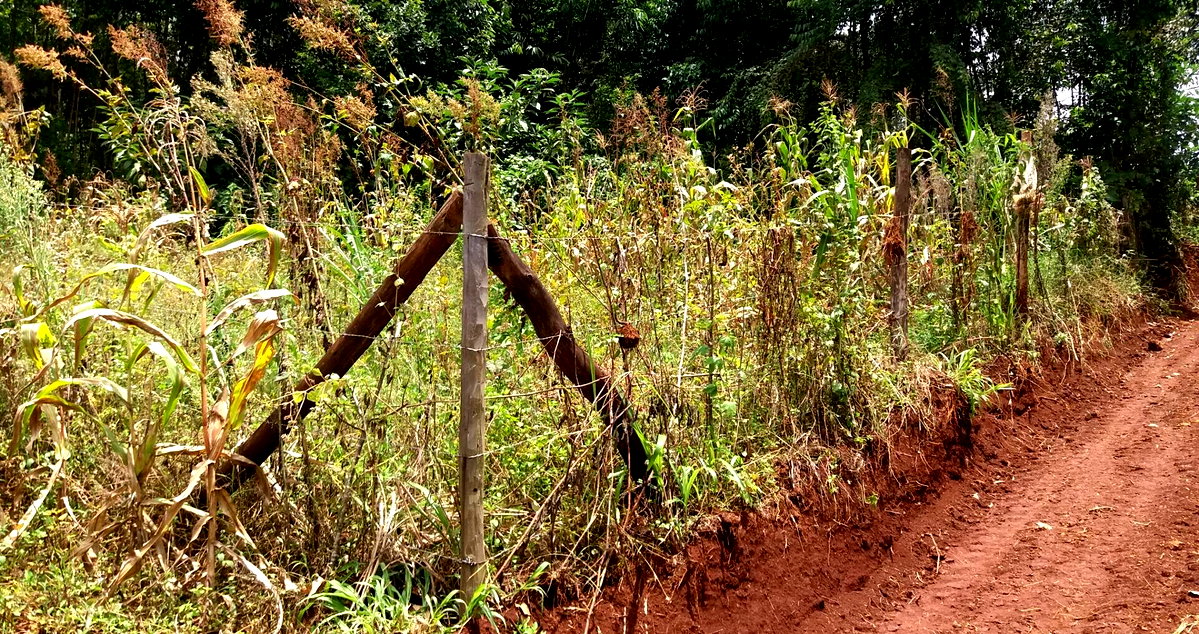 Half Acre Garden Plot with Parking - Kiambu