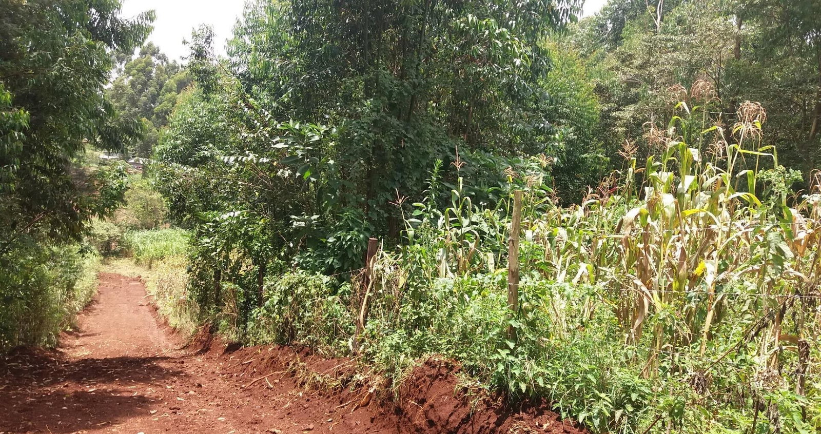 Half Acre Garden Plot with Parking - Kiambu