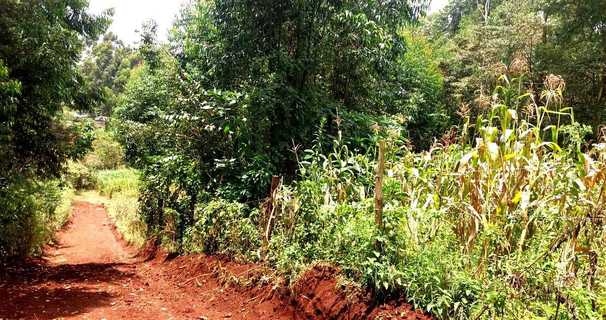 Half Acre Garden Plot with Parking - Kiambu