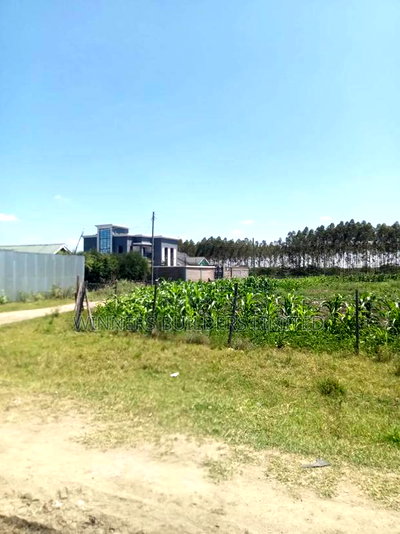 1/2 Acre for Sale at Mwihoko - Image 9