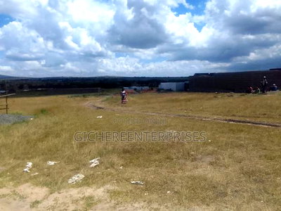 Konza Malili - Image 5