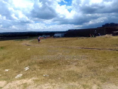 Konza Malili - Image 6