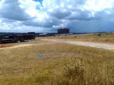 Konza Malili - Image 2