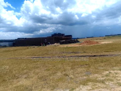 Konza Malili - Image 8