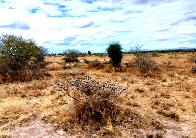 Quarter Acre in Kajiado CBD
