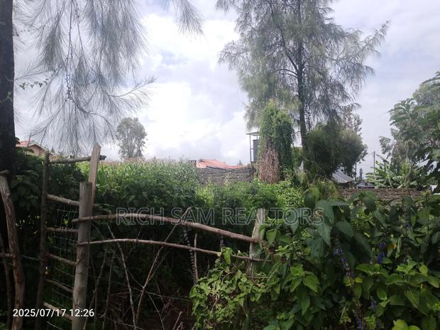 50/100 Plot on Sale Olivin Kiamunyi