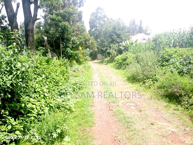 50/100 Plot on Sale Olivin Kiamunyi
