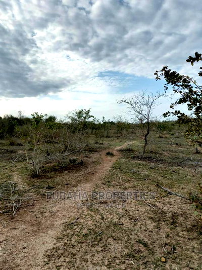 For Sale 100 Acre Ranch Kwale - Image 6