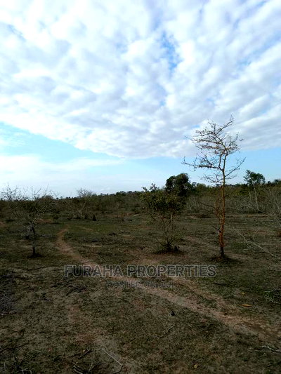 For Sale 100 Acre Ranch Kwale - Image 5