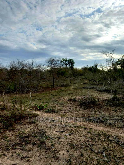 For Sale 100 Acre Ranch Kwale - Image 4
