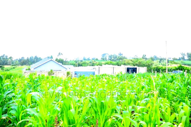 Prime Residential Plot for Sale in Kikuyu, Kamangu.