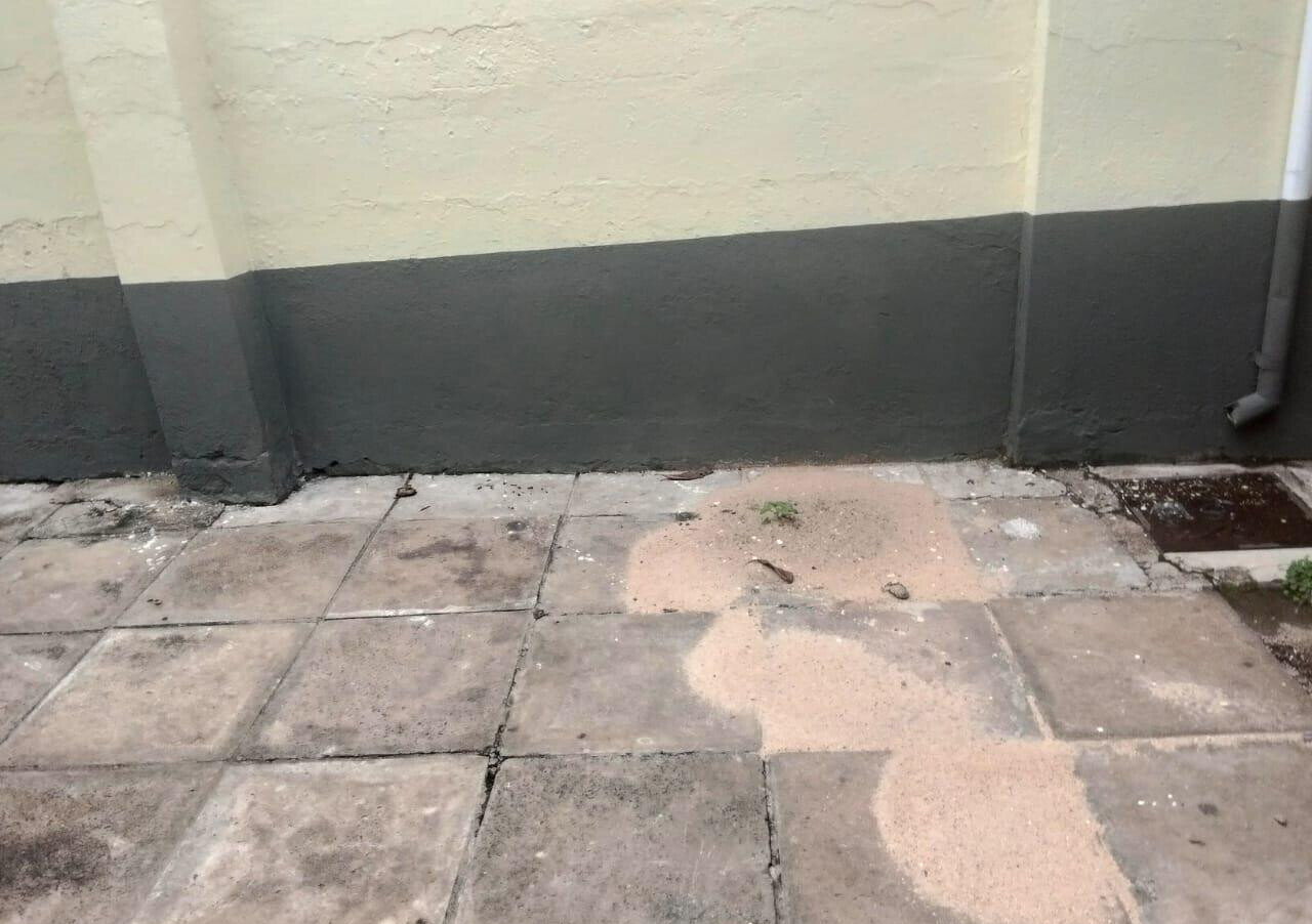Pet Friendly 4BR Maisonette at KSh 100K