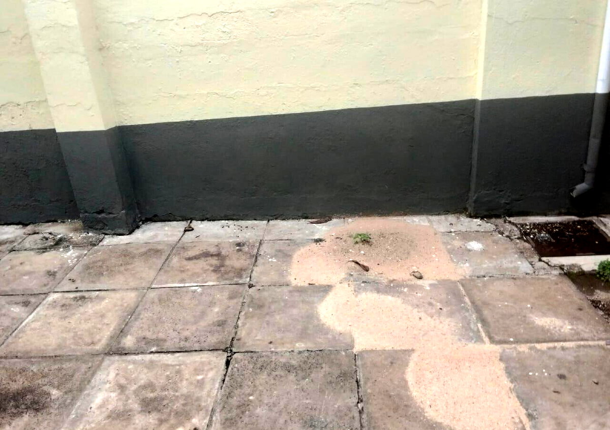 Pet Friendly 4BR Maisonette at KSh 100K