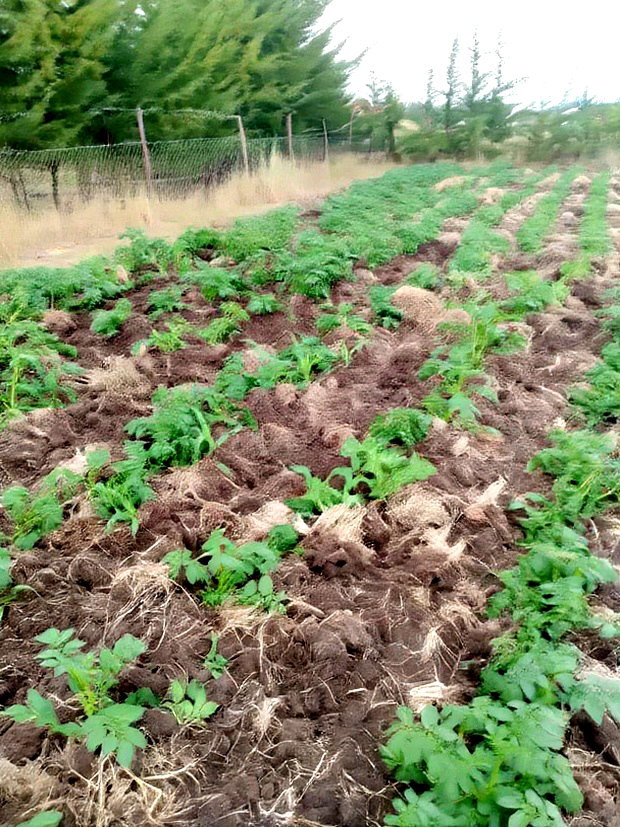 Land for Sale in Nyeri Munyu With a House
