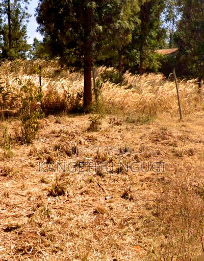 50 X 100 Residential Plot Mugumo Estate Kiambu - Image 5