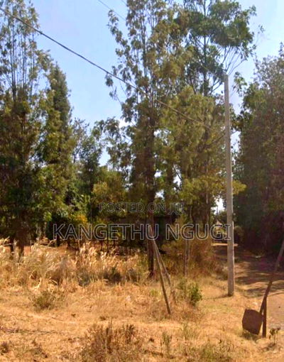 50 X 100 Residential Plot Mugumo Estate Kiambu - Image 4