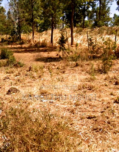 50 X 100 Residential Plot Mugumo Estate Kiambu - Image 6