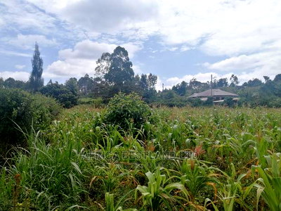 1/2 an Acre Residential Land for Sale - Image 4