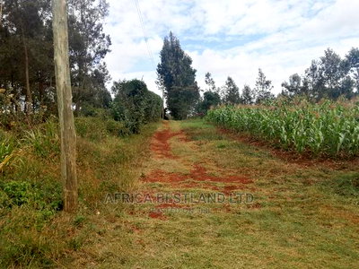1/2 an Acre Residential Land for Sale - Image 2