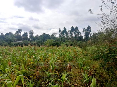 1/2 an Acre Residential Land for Sale - Image 3