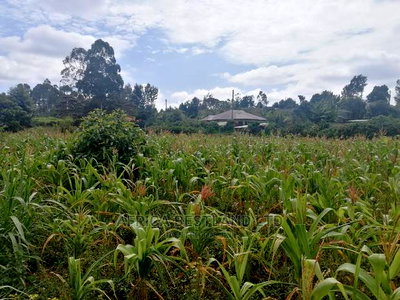 1/2 an Acre Residential Land for Sale - Image 1