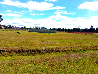 3 Prime 1/4acre Plots in Racecourse, Eldoret - Image 2