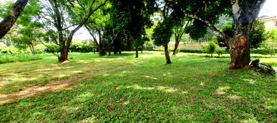 2.5-Acre Plot for KSh 60M