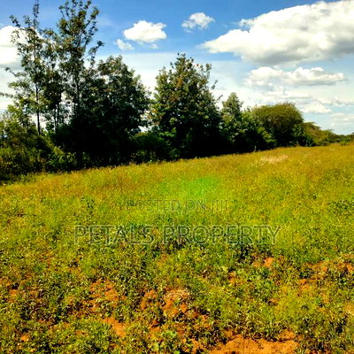 1/2 Acre Plot for Sale in Kabarak Chergei - Image 3