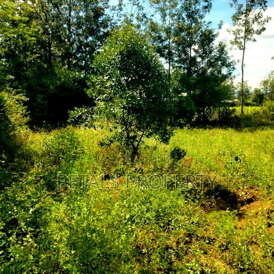 1/2 Acre Plot for Sale in Kabarak Chergei - Image 4