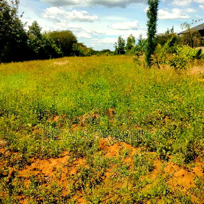 1/2 Acre Plot for Sale in Kabarak Chergei - Image 1