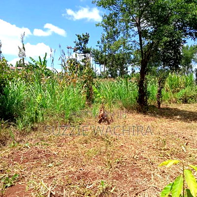 Kenol Plots for Sale Measuring 40*80ft - Image 2