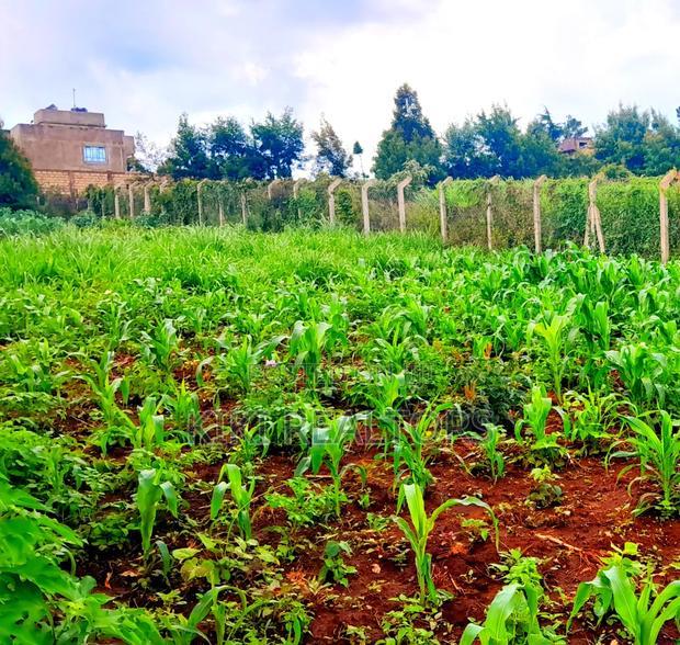 Affordable Plots Kikuyu Kerwa 100*100