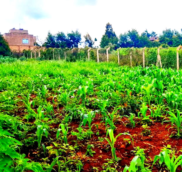 Affordable Plots Kikuyu Kerwa 100*100