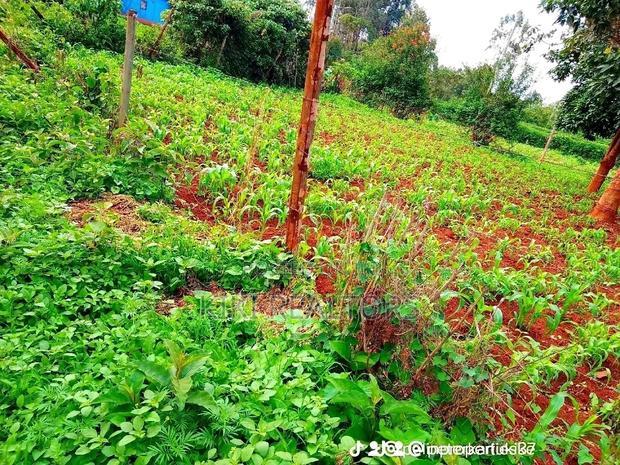Affordable Plots Kikuyu Kerwa 100*100