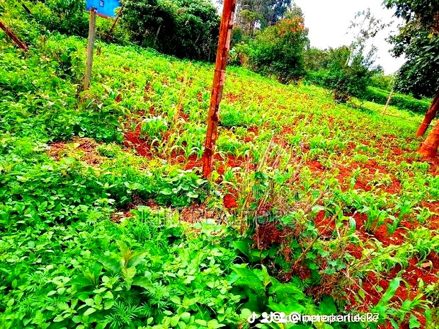 Affordable Plots Kikuyu Kerwa 100*100
