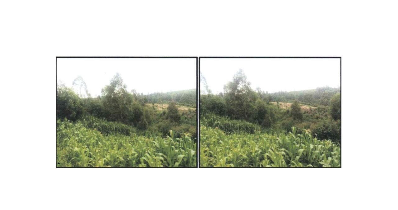 0.44 Acre Plot in Githunguri