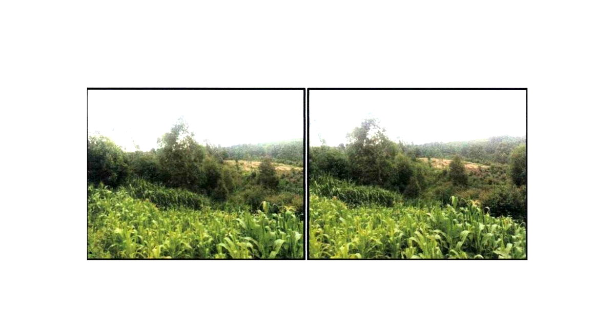 0.44 Acre Plot in Githunguri