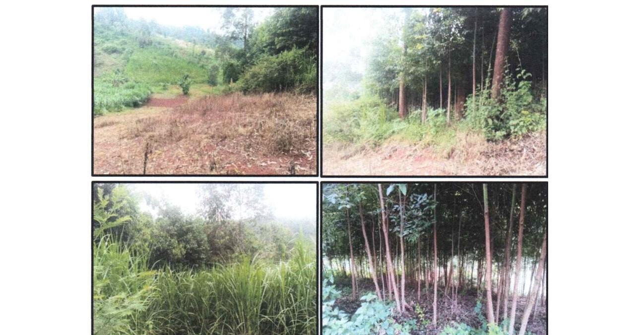 0.44 Acre Plot in Githunguri