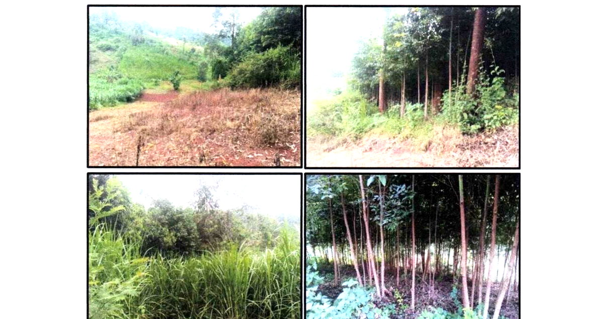 0.44 Acre Plot in Githunguri
