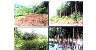 0.44 Acre Plot in Githunguri