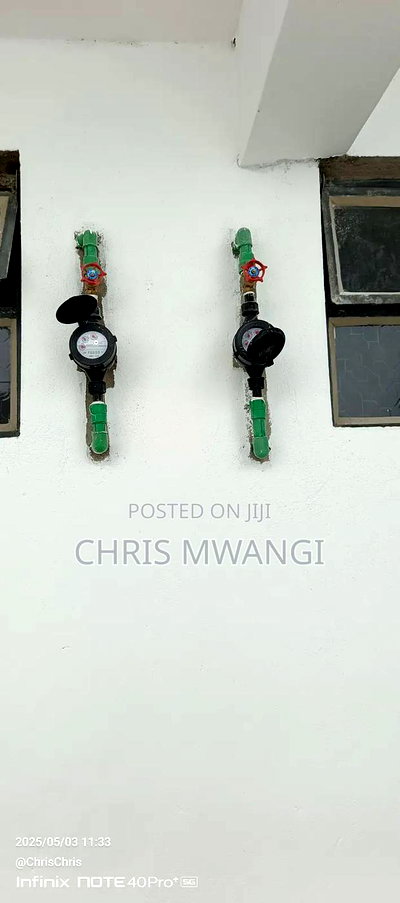 Furnished 1bdrm Block of Flats in Ngoigwa Estate, Thika for sale - Image 4