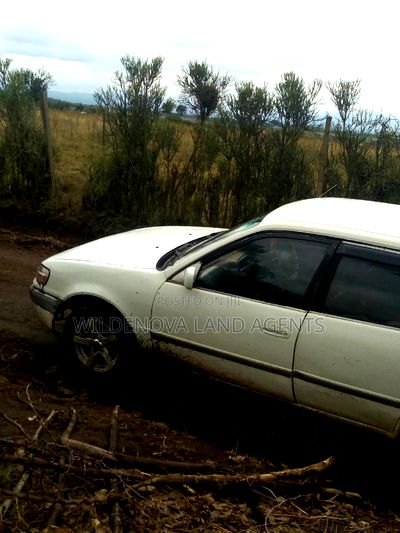 Land on Sale at Nyamathi Karai Naivasha - Image 2