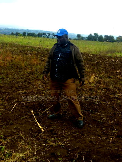 Land on Sale at Nyamathi Karai Naivasha - Image 6