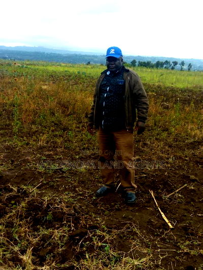 Land on Sale at Nyamathi Karai Naivasha - Image 8