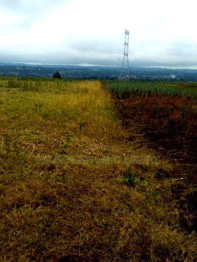 Land on Sale at Nyamathi Karai Naivasha - Image 3