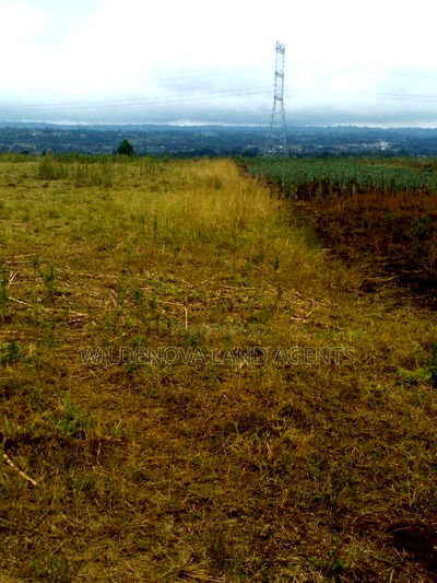 Land on Sale at Nyamathi Karai Naivasha - Image 9