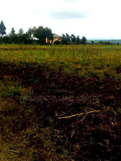 Land on Sale at Nyamathi Karai Naivasha - Image 7